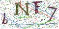 图形验证