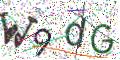 图形验证