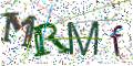 图形验证
