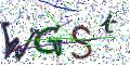 图形验证