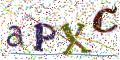 图形验证