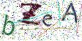 图形验证