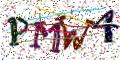 图形验证