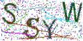 图形验证
