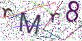 图形验证