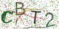 图形验证