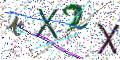 图形验证