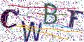 图形验证