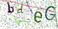 图形验证