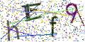 图形验证