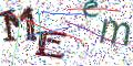 图形验证