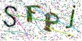 图形验证