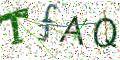 图形验证