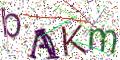 图形验证