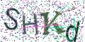 图形验证