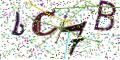 图形验证