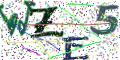 图形验证