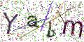 图形验证