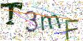 图形验证