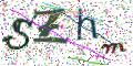 图形验证