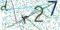 图形验证