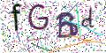 图形验证