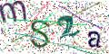 图形验证