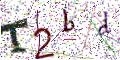 图形验证
