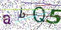 图形验证