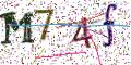 图形验证
