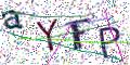 图形验证