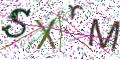 图形验证