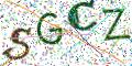 图形验证