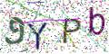 图形验证
