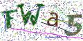 图形验证