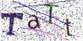 图形验证