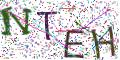 图形验证