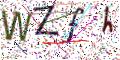 图形验证