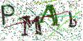 图形验证