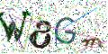 图形验证