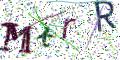 图形验证