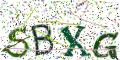 图形验证