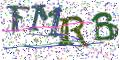 图形验证