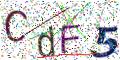 图形验证
