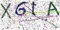 图形验证