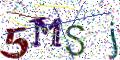 图形验证