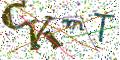 图形验证