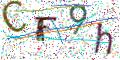 图形验证