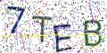 图形验证