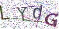 图形验证